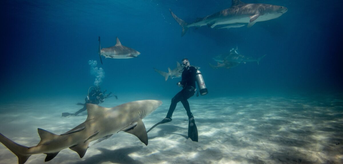 Adventure.SingleDivers.com